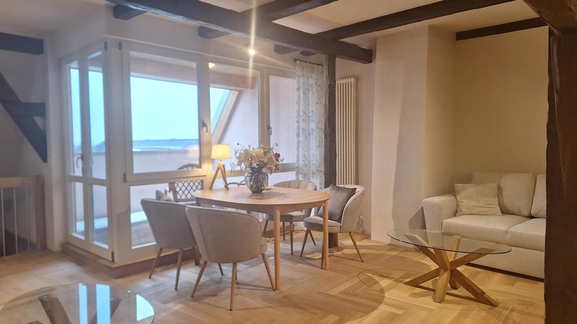 Stadtpalais Bellevue-Suite 3- Zimmer- Maisonettewohnung Mit Dachterrasse Maximal 4 Personen Bautzen Eksteriør billede
