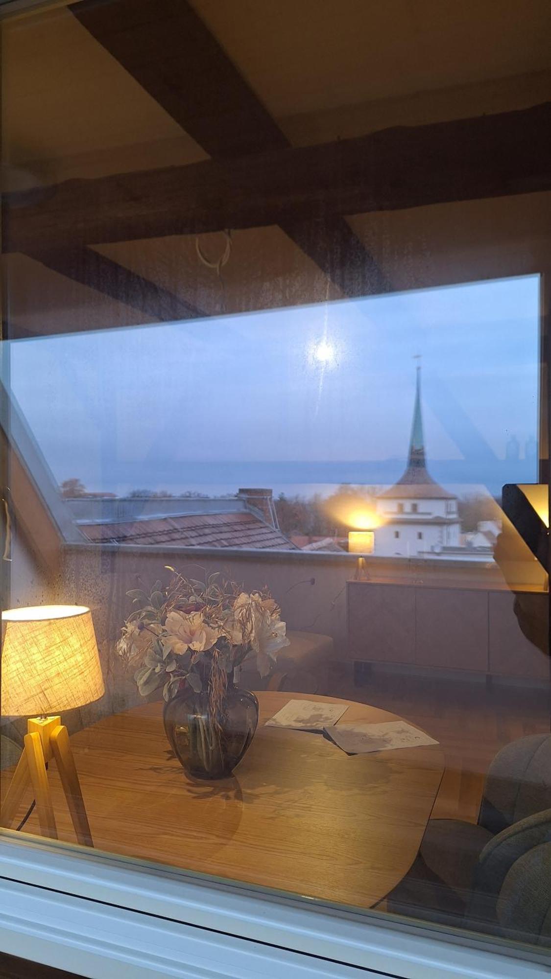 Stadtpalais Bellevue-Suite 3- Zimmer- Maisonettewohnung Mit Dachterrasse Maximal 4 Personen Bautzen Eksteriør billede
