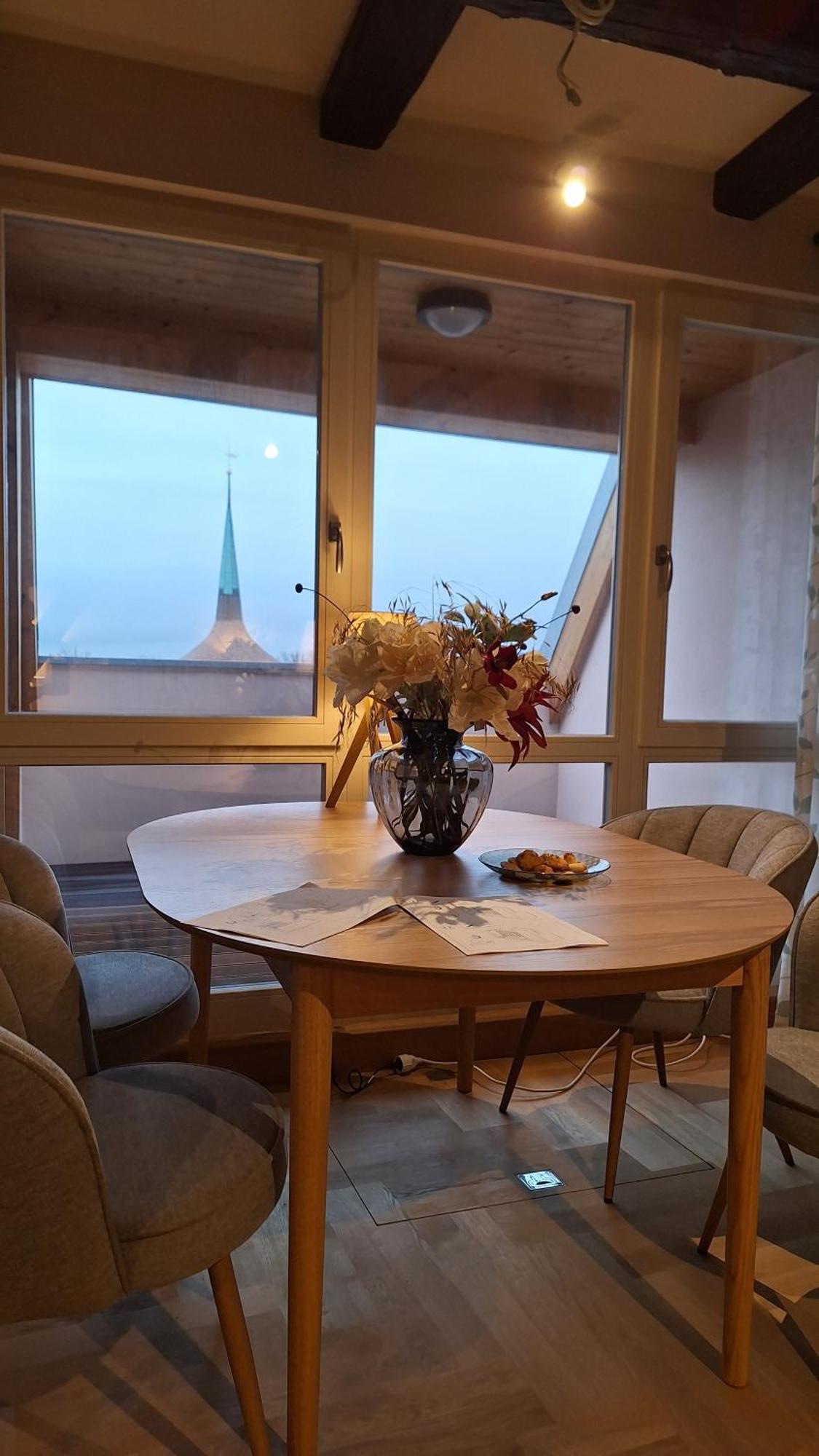Stadtpalais Bellevue-Suite 3- Zimmer- Maisonettewohnung Mit Dachterrasse Maximal 4 Personen Bautzen Eksteriør billede